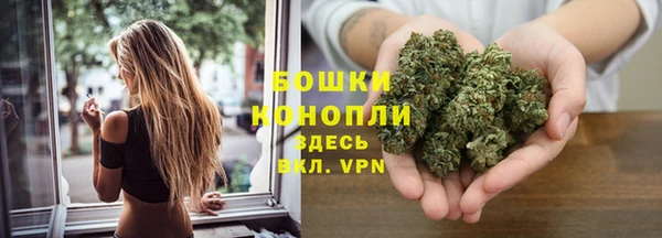 ПСИЛОЦИБИНОВЫЕ ГРИБЫ Покровск