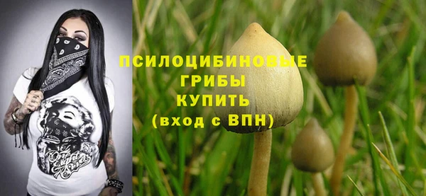 ПСИЛОЦИБИНОВЫЕ ГРИБЫ Покровск