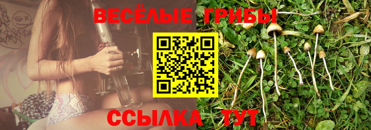 Галлюциногенные грибы Cubensis  Вход с VPN  Югорск  Псилоцибиновые грибы GOLDEN TEACHER 