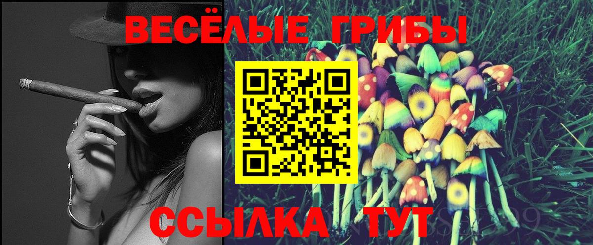 Галлюциногенные грибы Psilocybe  Югорск 